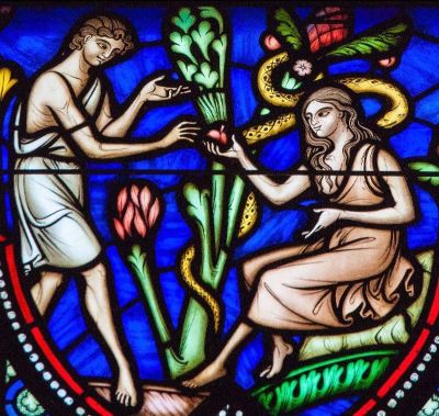 story tale of the bible private christian college