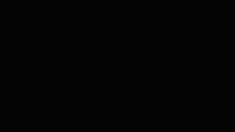 Animated GIF downsized_large 1